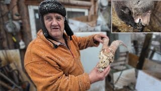Ce Bosnien vit avec deux Ours, qu'il considère comme ses enfants.