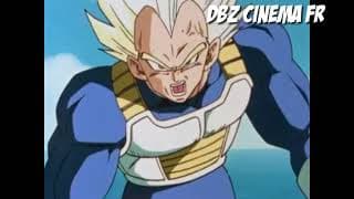VEGETA - FINAL FLAS H