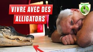 AYAAA Ce boomer zinzin joue avec un alligator dans sa maison