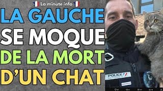La gauche se moque de la mort d'un chat