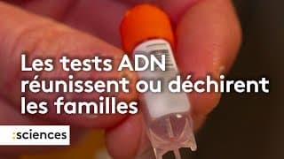 Ces tests ADN qui réunissent ou déchirent les familles