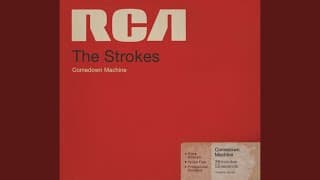 The Strokes - Fast Animal