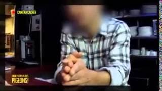 Du CHAT retrouver dans du KEBAB (7%) !!!!!!
