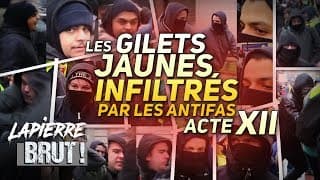 Ayaaaa Vincent Lapierre qui se fait mélanger par des antifas à Toulouse