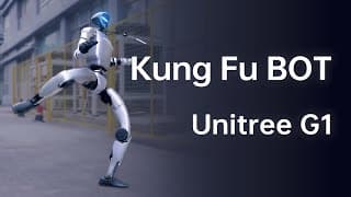 Ce Robot zinzolax fait des prises de Kung-Fu en plein milieu de rue !