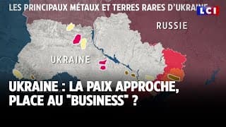 Vous reprendrez bien une petite part d'Ukraine ?