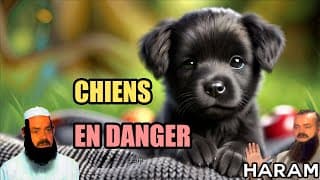 Les chiens bientôt interdit en Europe ?