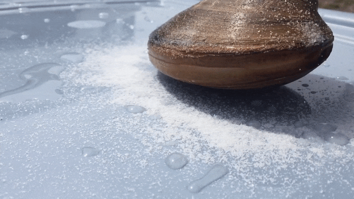 Mettre du sel sur son anus et acheter une grosse  palourde