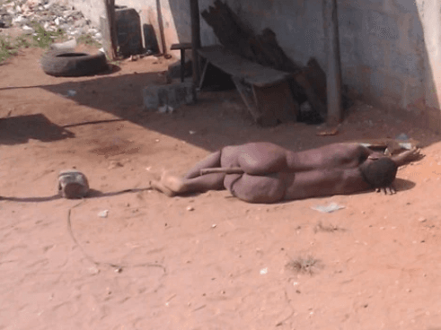 BÉNIN : Un hibou se transforme en femme ! + VIDEO