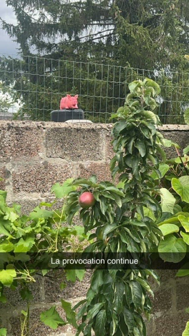 [PHOTO] Il installe un COCHON dans son GARDEN pour provoquer son voisin QLF