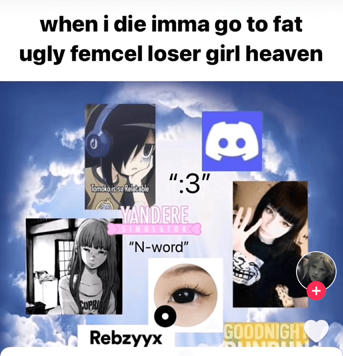 Quand je serais mort j'irais au paradis des femcels