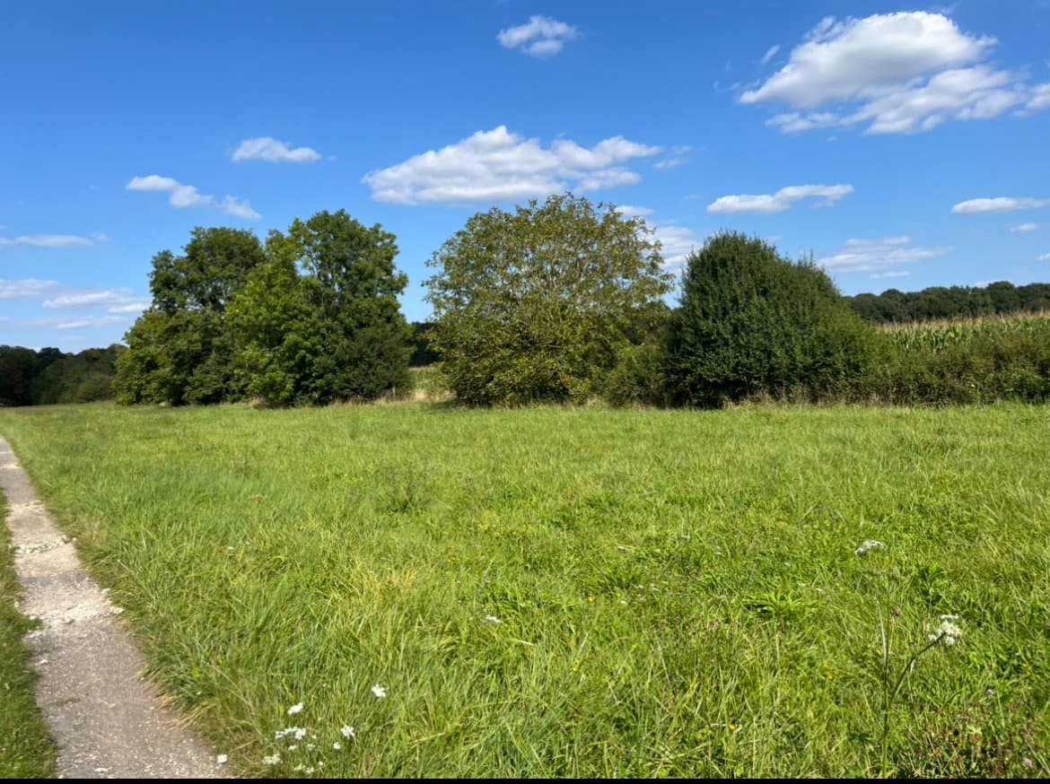 [PHOTO] Je me PROMÈNE seul dans la NATURE un VENDREDI APRÈS-MIDI