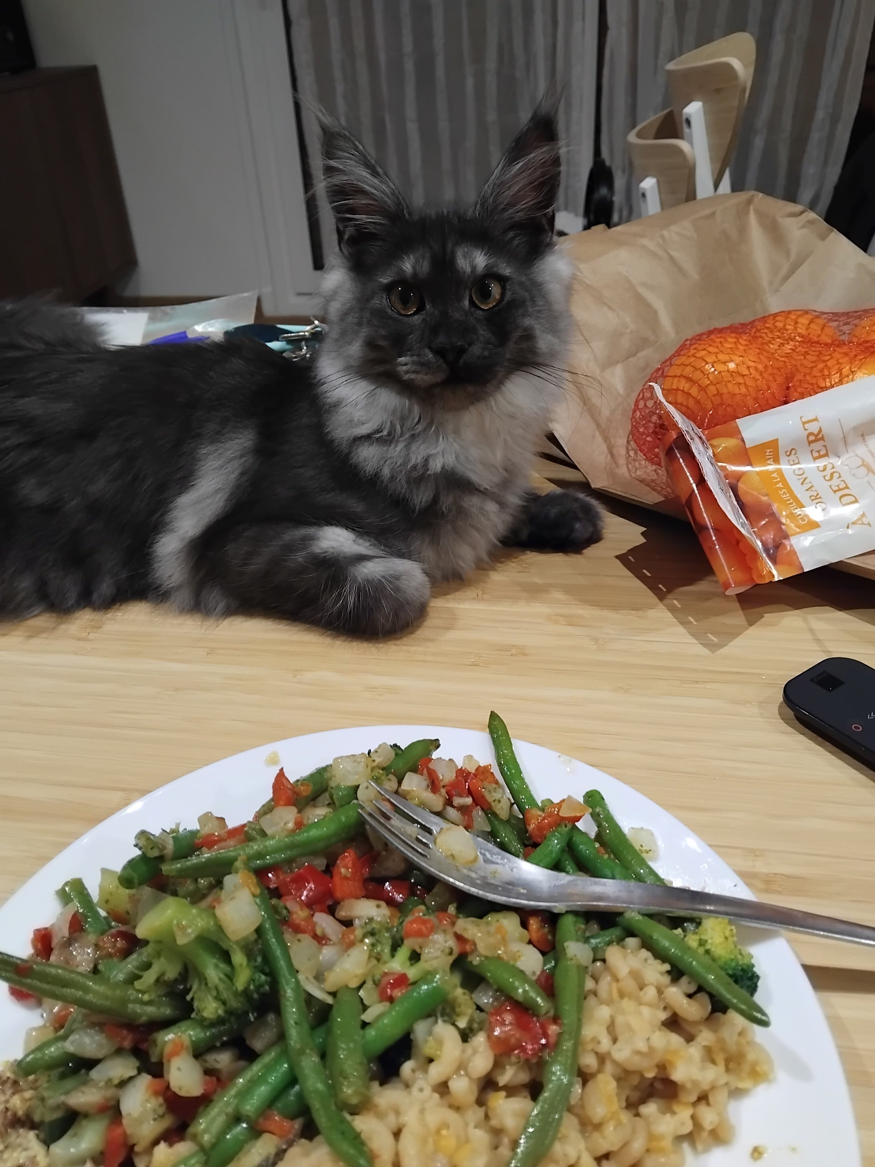 Ce soir, je bouffe une bonne chatte