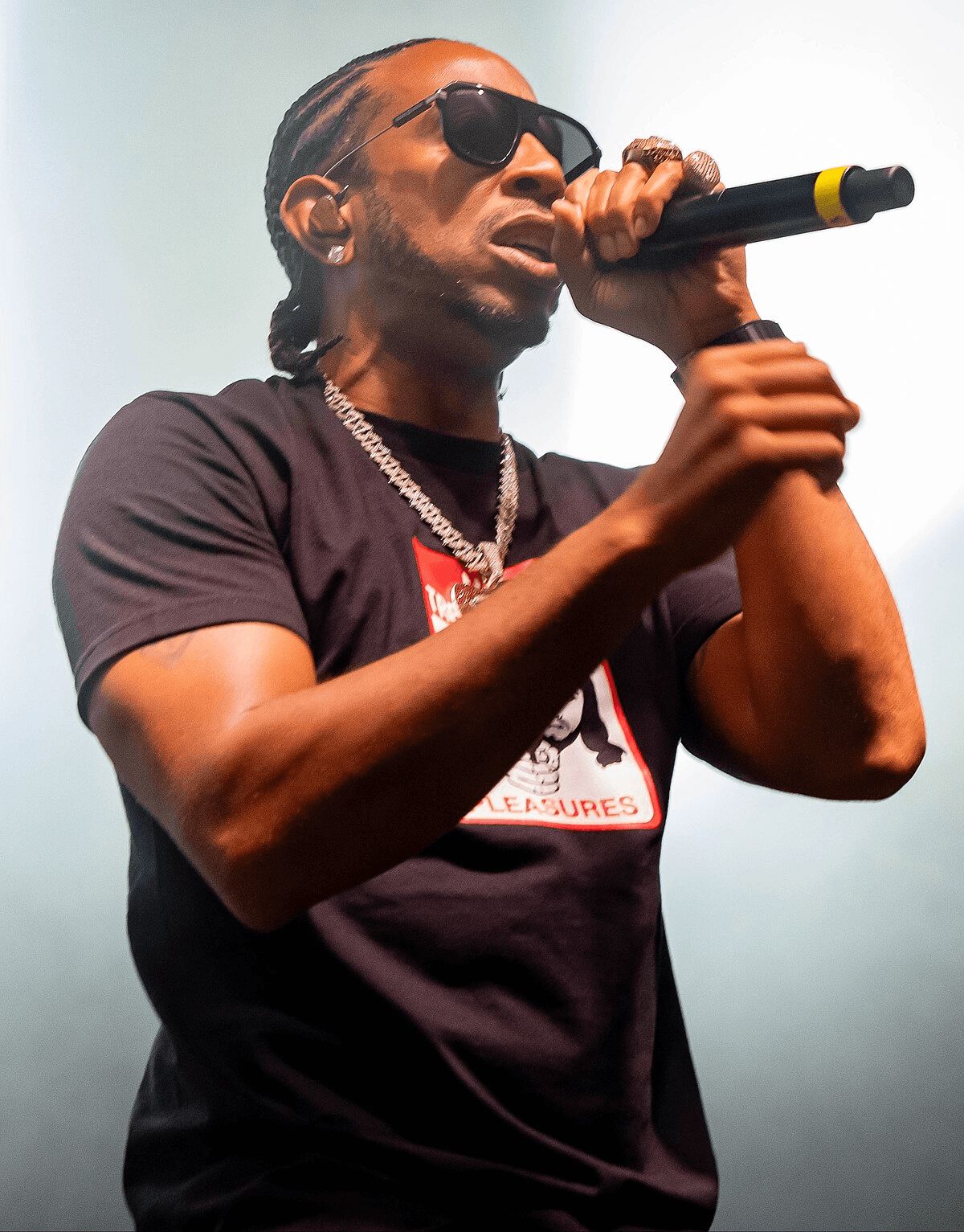 Ludacris 50 ans et zero calvitie comment c'est possible ? (photos)