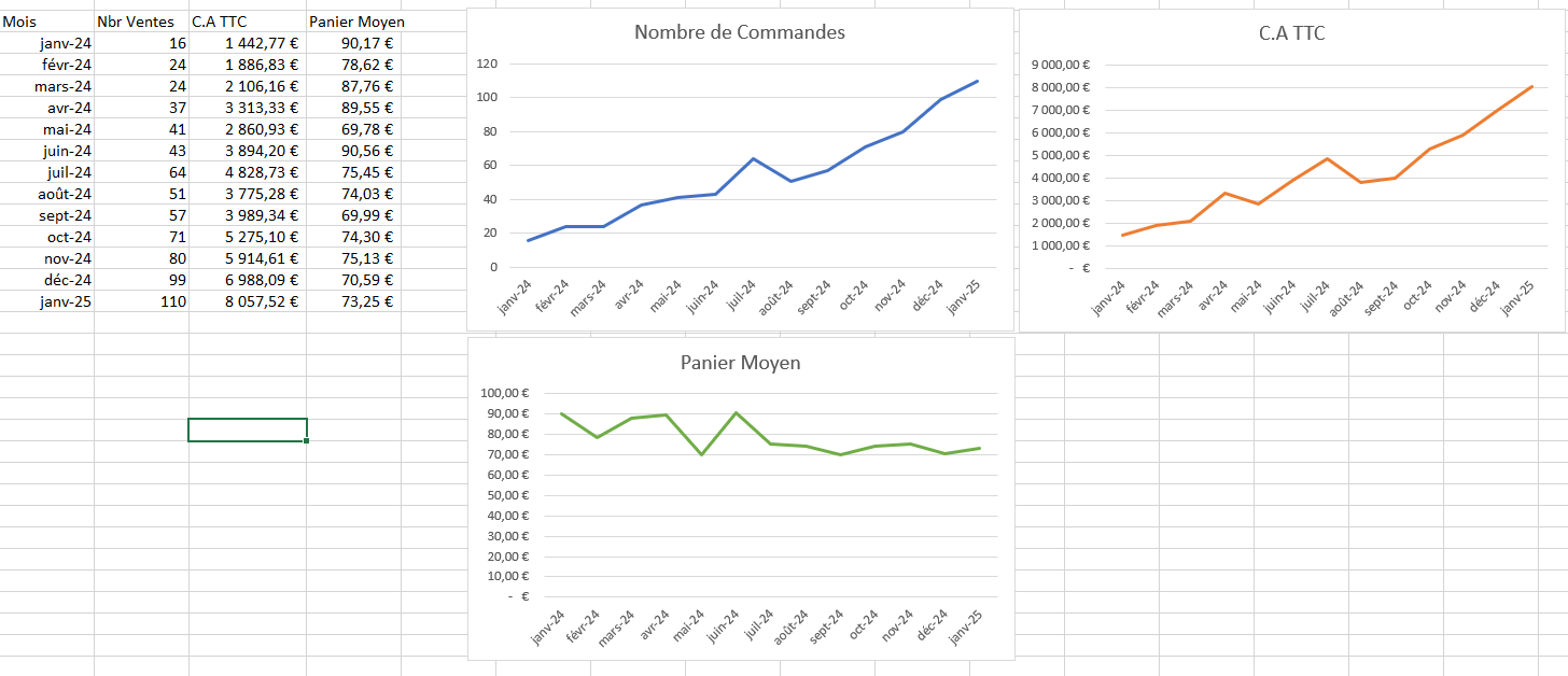 Retour sur 1 an de E-Commerce