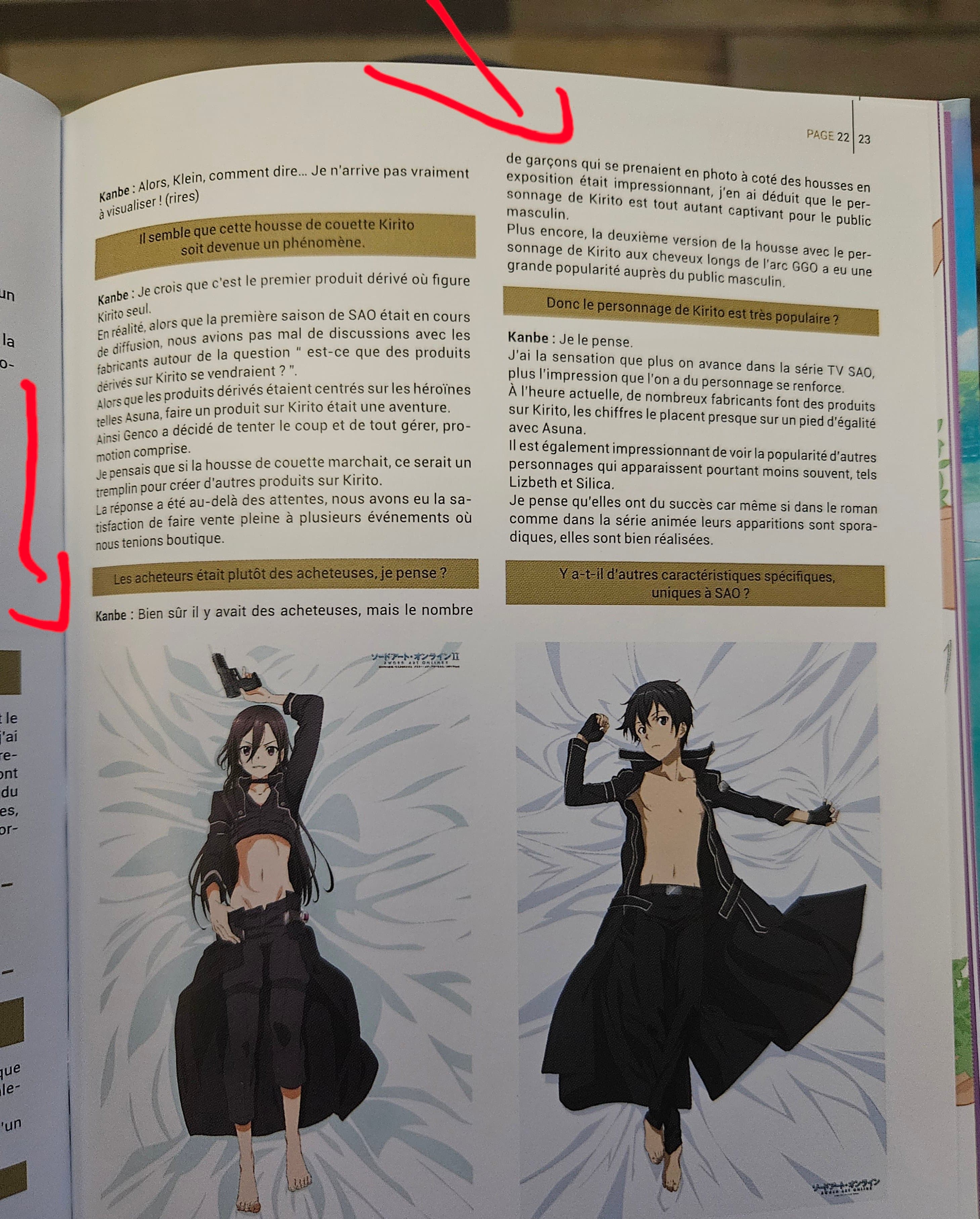 LES FANS DE SWORD ART ONLINE SONT BASED +PREUVE (vraiment based)