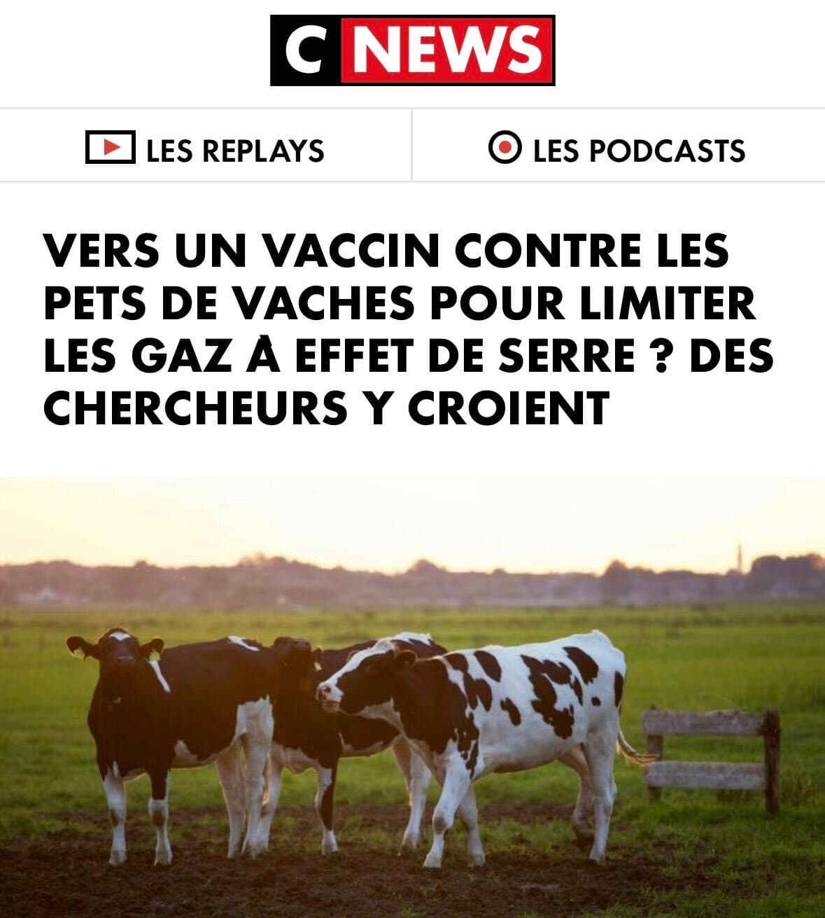 Ils veulent créer un vaccin contre les pets de vaches