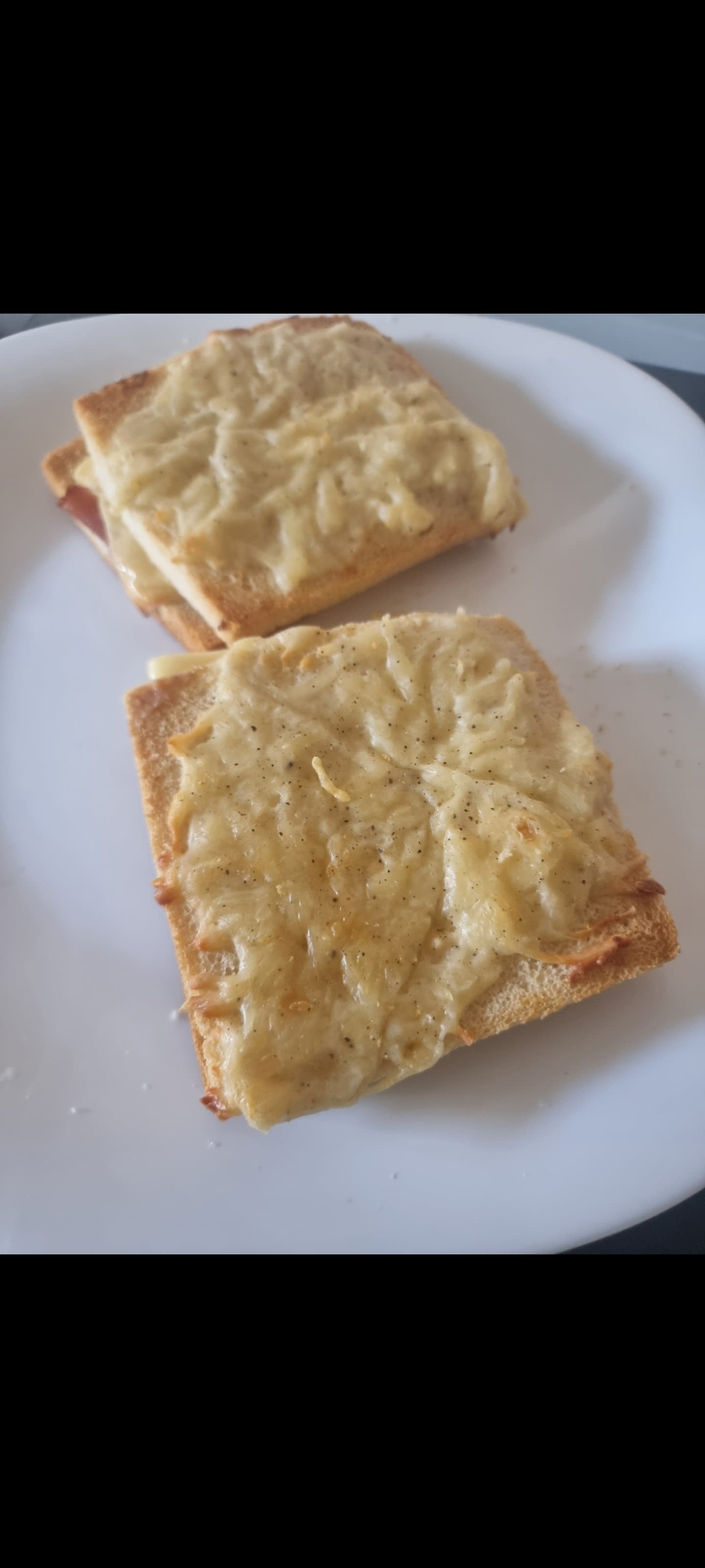 [PHOTO] Mes croques MONSIEUR dérange le forum