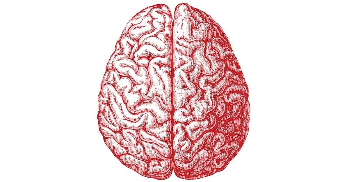 [ALERTE MAXIMALE] Notre CERVEAU est composé à 0.5% de PLASTIQUE