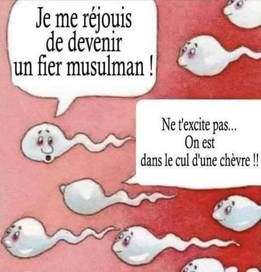 C'est un spermatozoïde qui dit à un autre