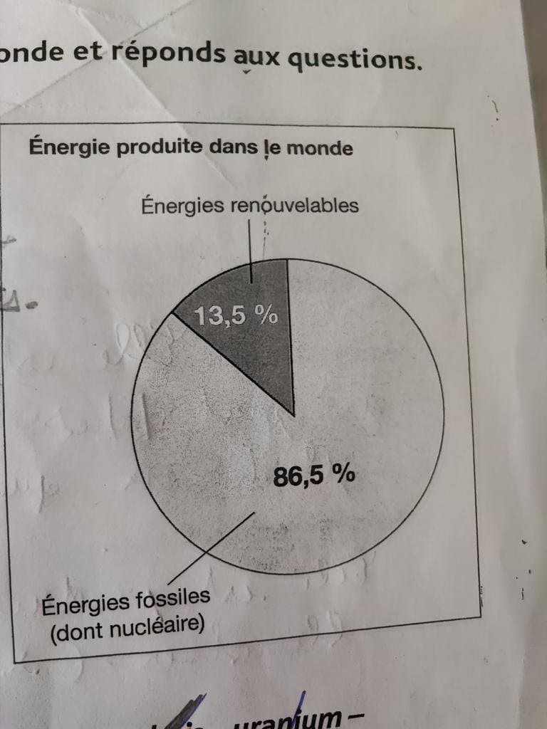 Leçon de mon fils en CM1 : Photo