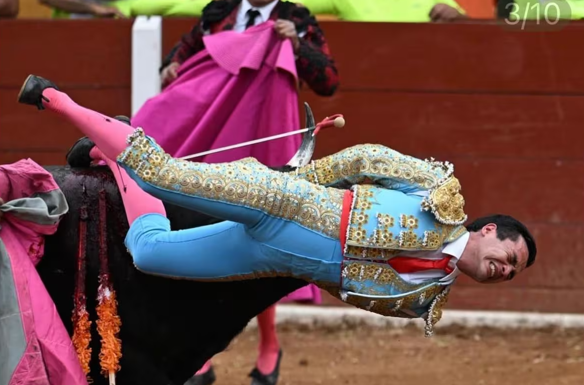 [PHOTO] Un taureau deter encorne par le TROU DE BALLE un torero mexicain et lui déchire le uq