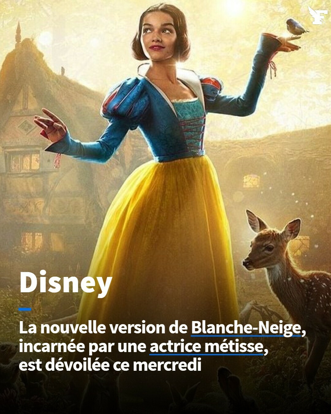 Blanche Neige n'a jamais été blanche !