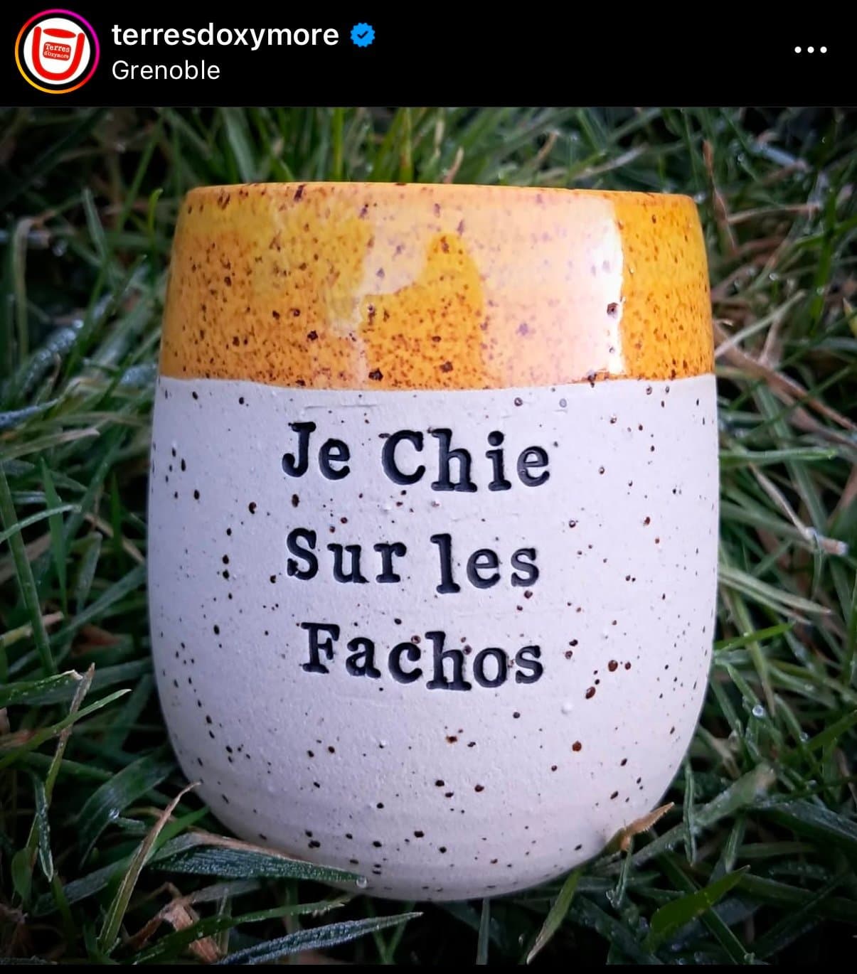 (Photo) Ma nouvelle tasse pour fêter la CONDAMNATION de Le pen !