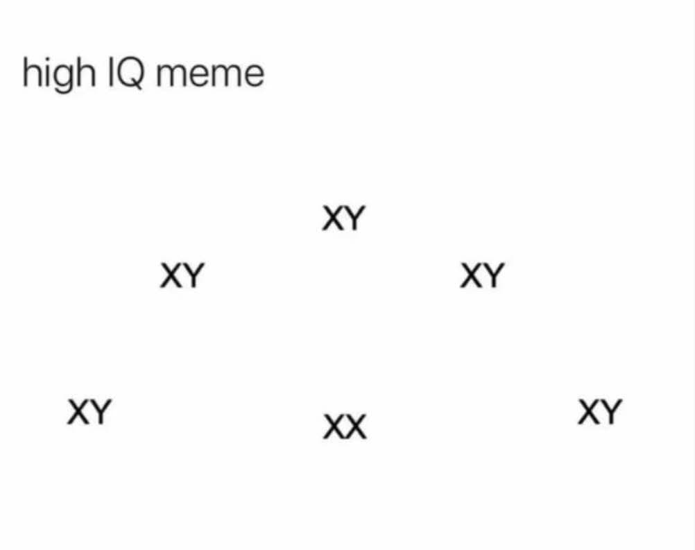 Seuls les HAUT QI comprendront ce meme