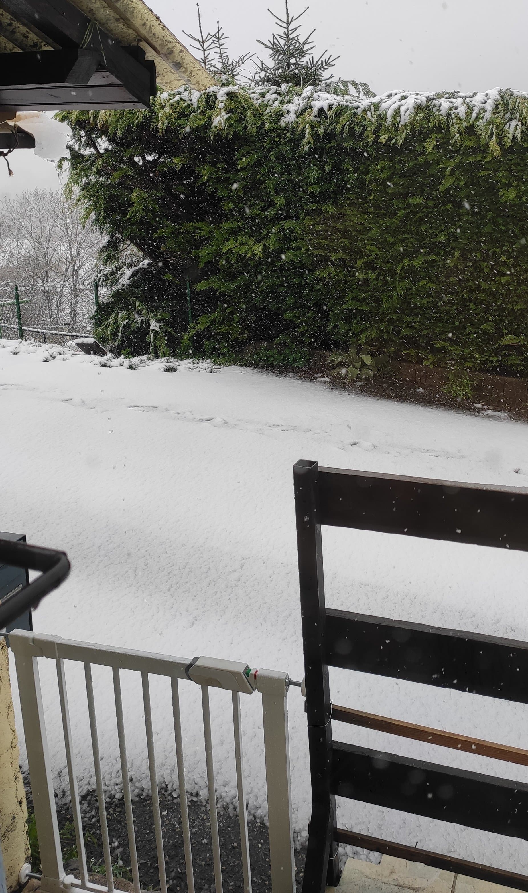 Chez vous aussi ça neige ?