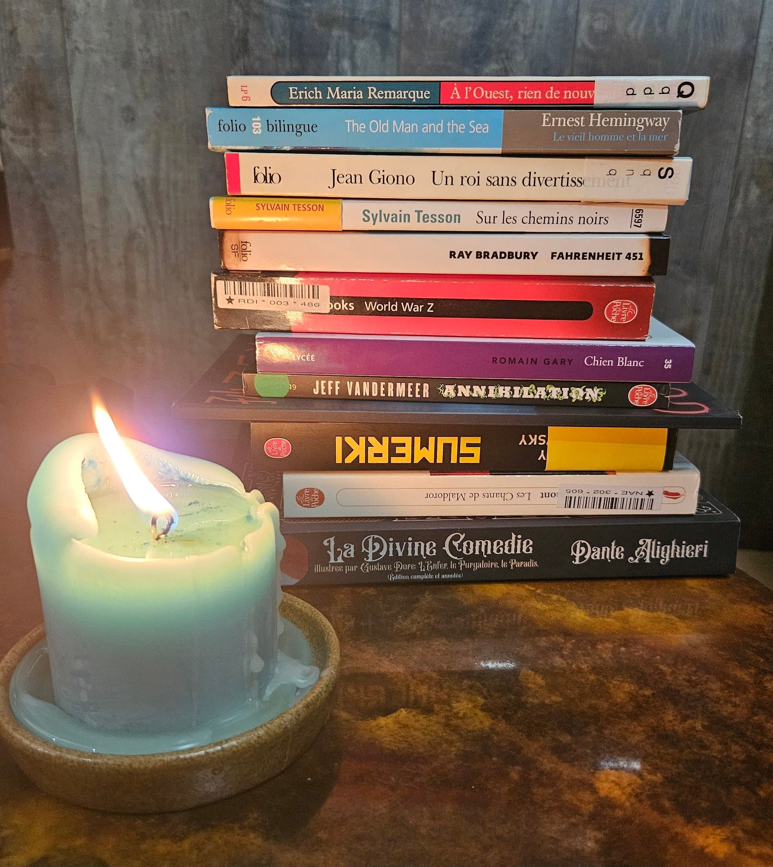 JE VAIS ME DÉBARRASSER DE LIVRES (j'en fais quoi?)