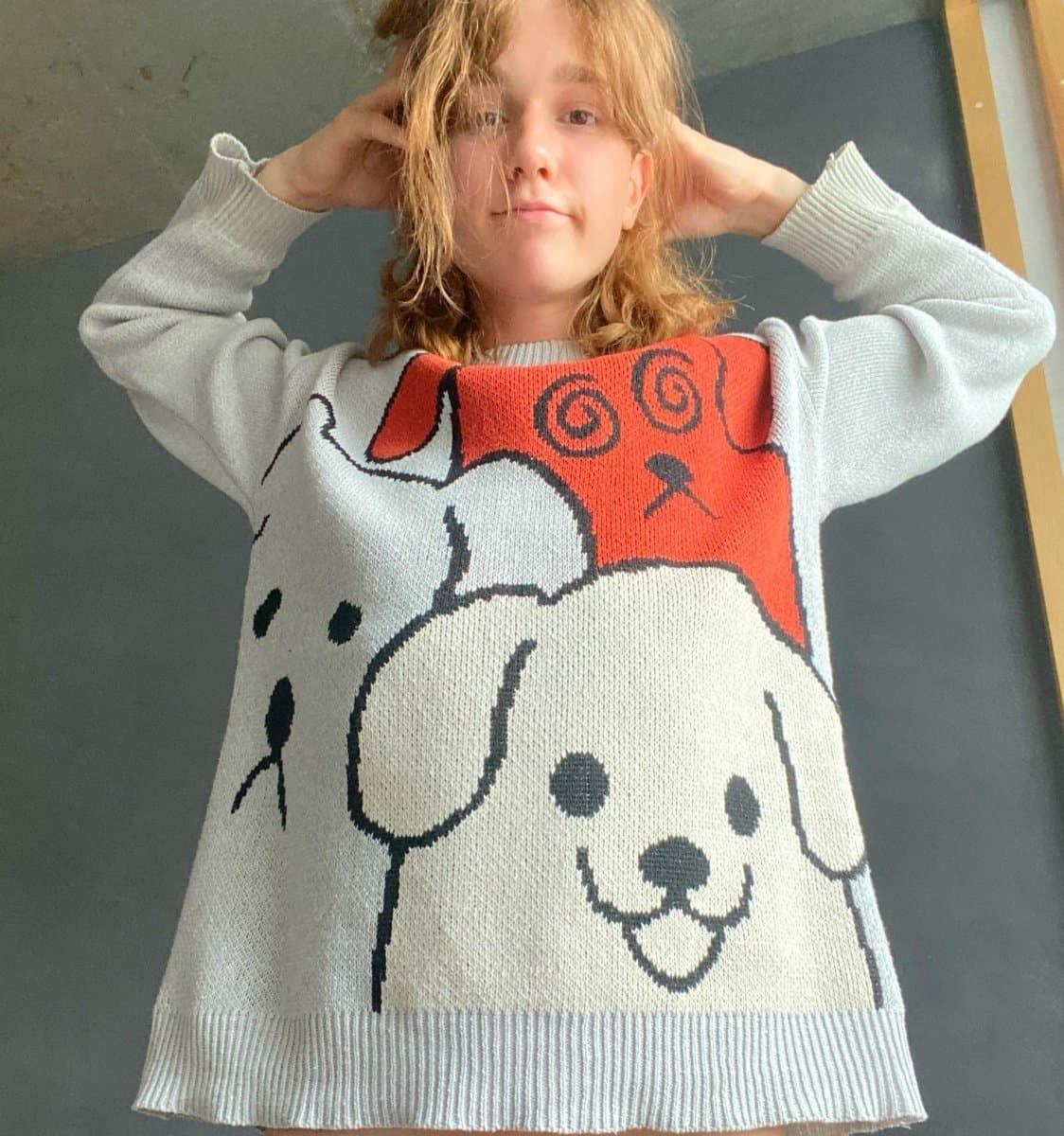 quelqu'un aurait la reference de ce pull ?