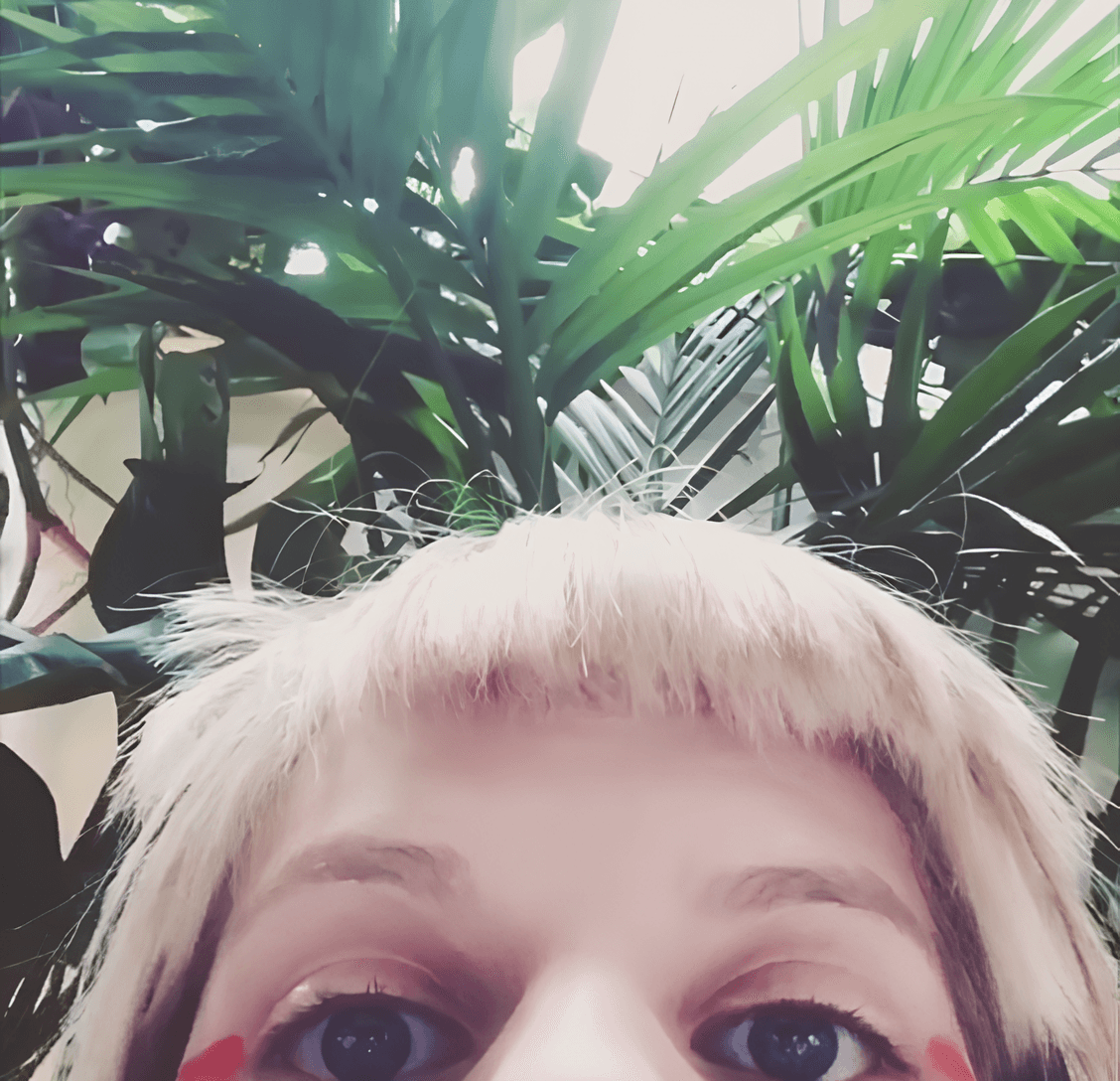 Bonjour je cherches des amis