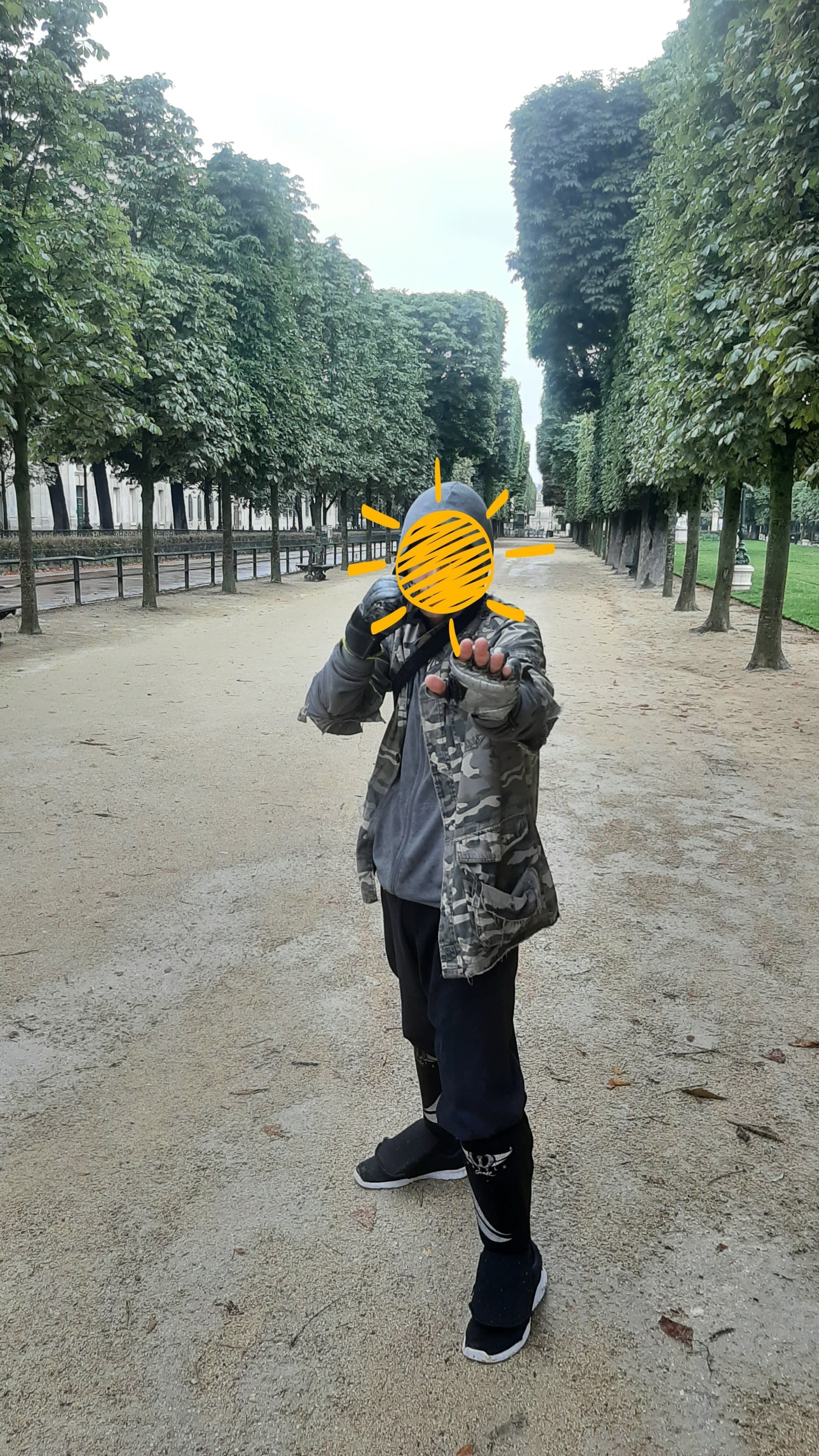 (Photo) je ne pourrais pas VAINCRE un gorille mais je pourrais DÉTRUIRE 100 CHOFAS
