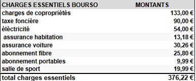 PROPRIO SANS CREDIT vous pensez que je peux vivre au RSA ?
