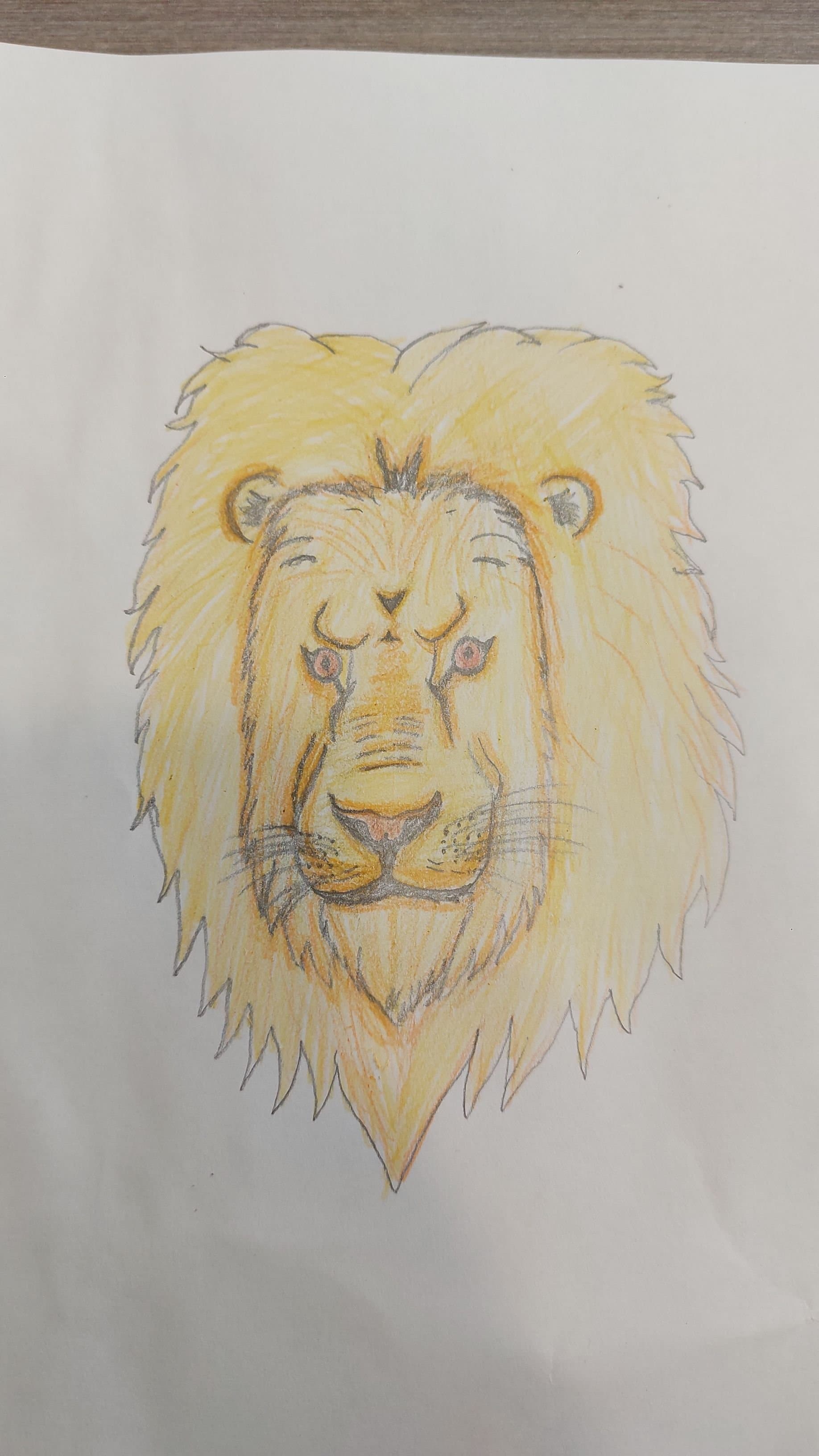 Mon dessin de lion/10 ?