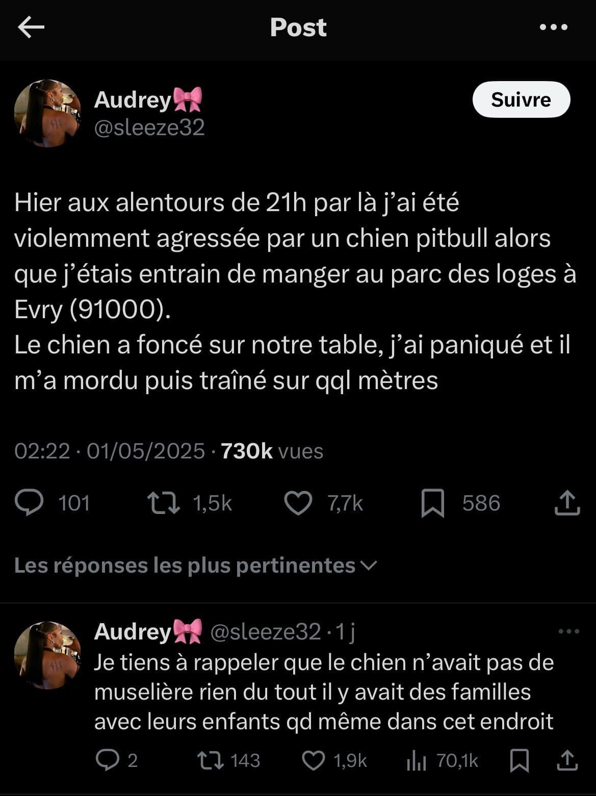 Elle se fait attaquer par un chien qui voulait jouer