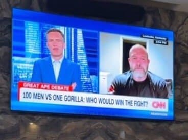 le délire de 1 Gorille vs 100 hommes est carrément passé sur CNN