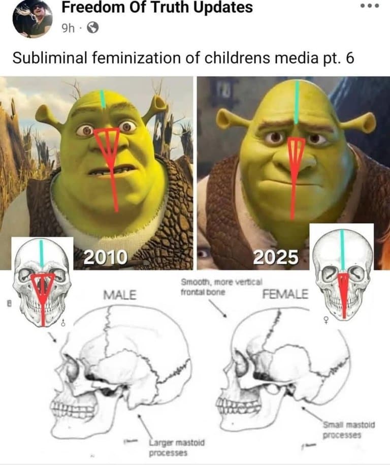 La féminisation de Shrek dans Shrek 5