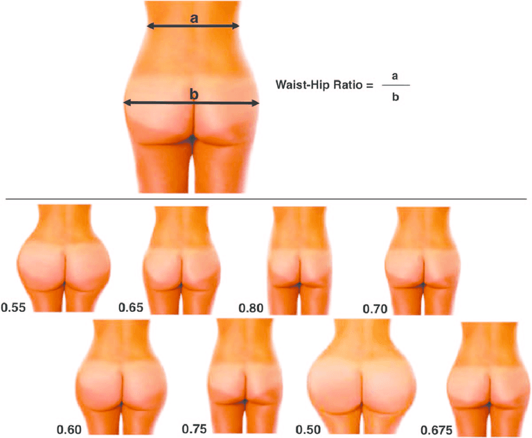 [SONDAGE] La taille de fesses que vous préférez ?